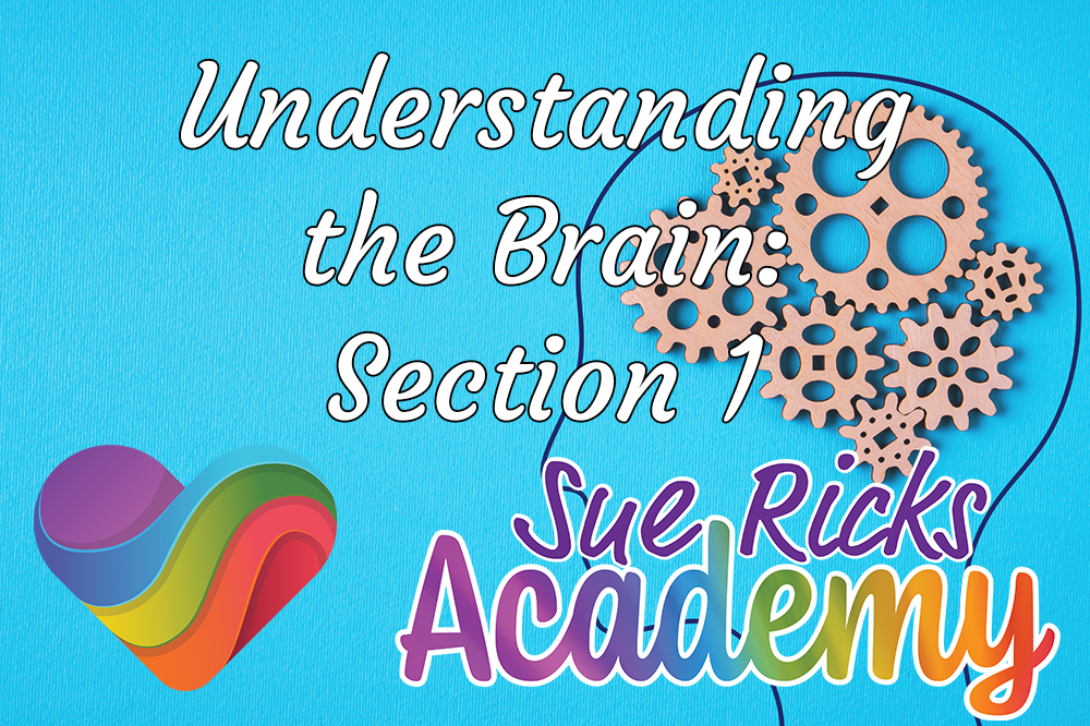 Understanding the Brain - Section 1 